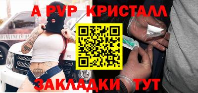 шишки Новодвинск