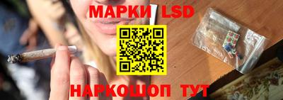 шишки Новодвинск