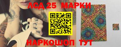 крисы Новокубанск