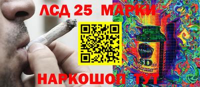 крисы Новокубанск
