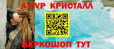 крисы Новокубанск