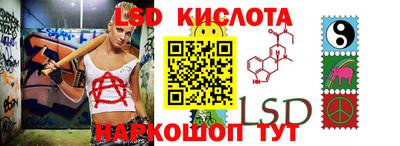крисы Новокубанск