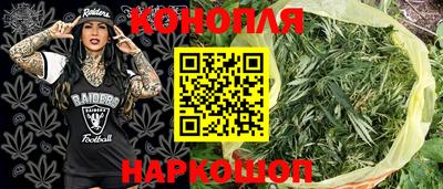 шишки Новодвинск