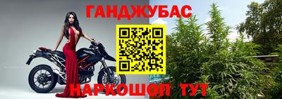 трава Новозыбков