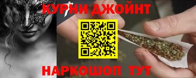 шишки Новодвинск