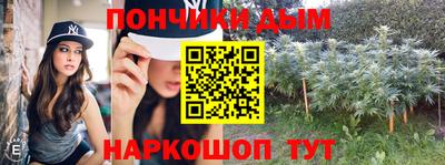 шишки Новодвинск