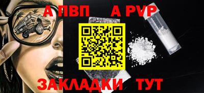 шишки Новодвинск