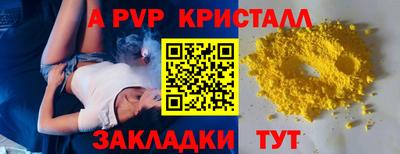 шишки Новодвинск