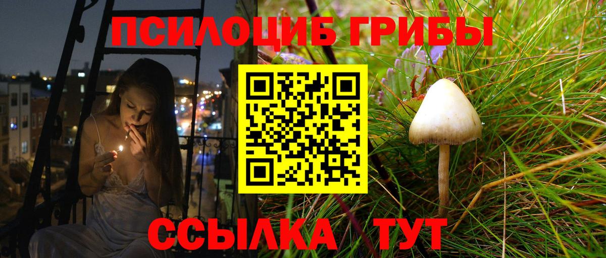 Псилоцибиновые грибы ЛСД Среднеуральск